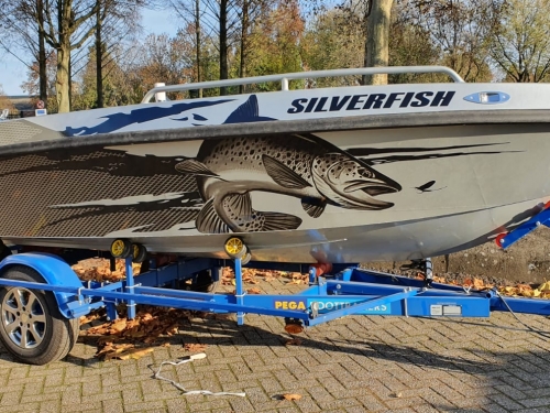 TINN-SILVER 500 SPORT