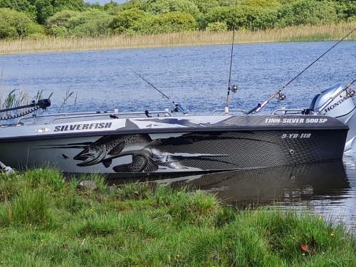 TINN-SILVER 500 SPORT