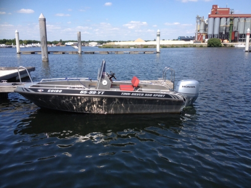 TINN-SILVER 550 SPORT
